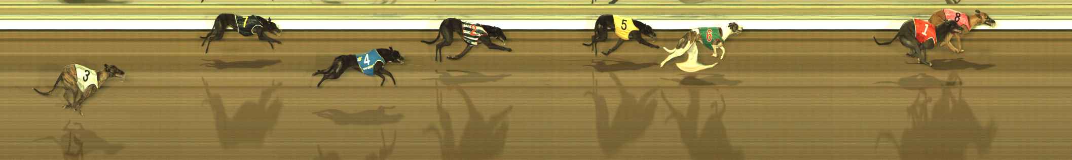 Photo finish for The Meadows Race 6