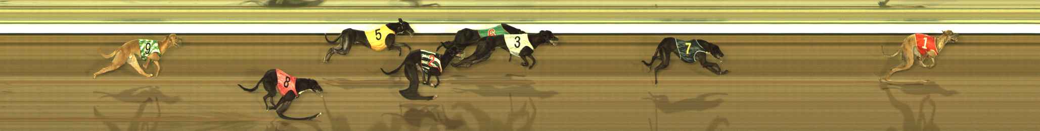 Photo finish for The Meadows Race 9