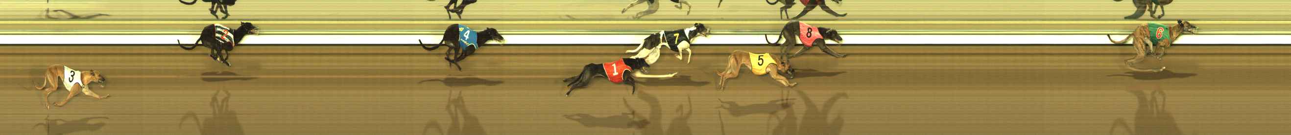 Photo finish for The Meadows Race 11