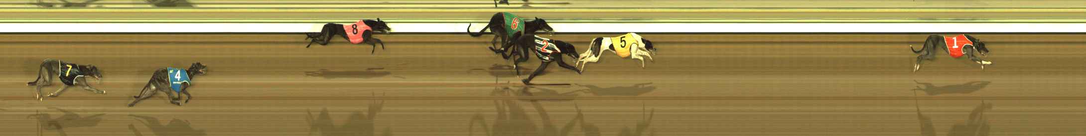 Photo finish for The Meadows Race 12