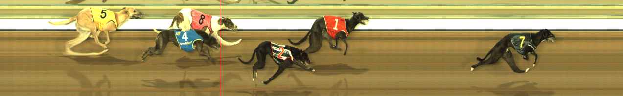 Photo finish for The Meadows Race 1