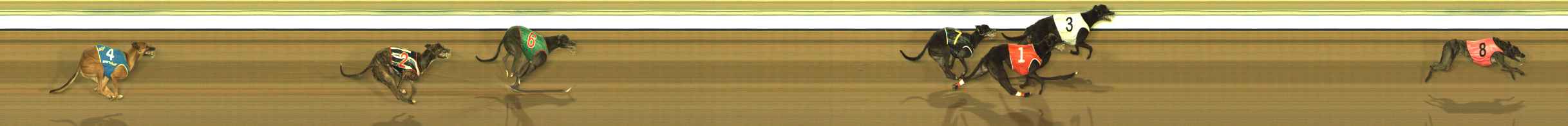 Photo finish for The Meadows Race 5