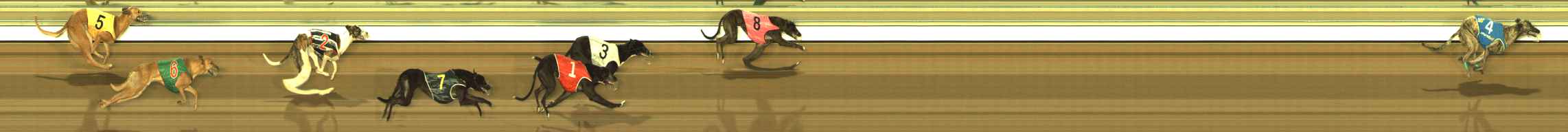 Photo finish for The Meadows Race 7