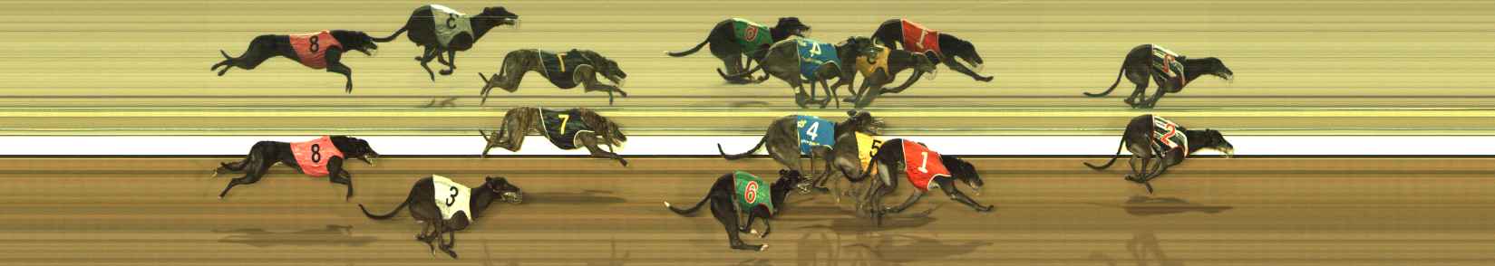 Photo finish for The Meadows Race 8