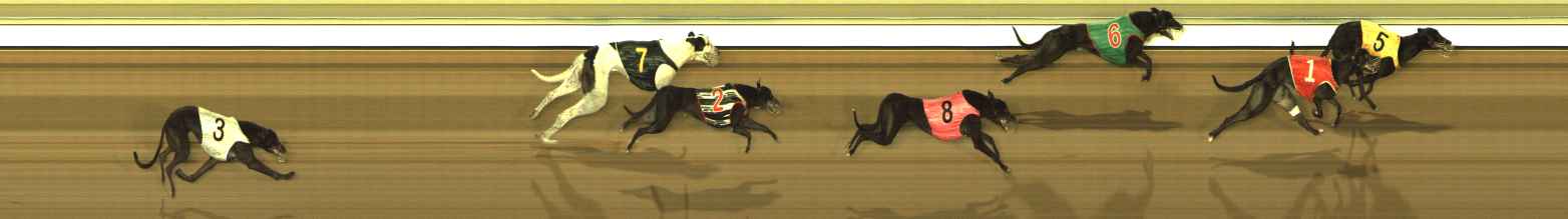 Photo finish for The Meadows Race 9