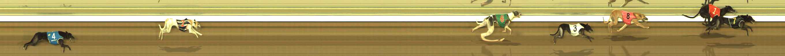 Photo finish for The Meadows Race 11