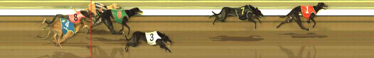 Photo finish for The Meadows Race 12