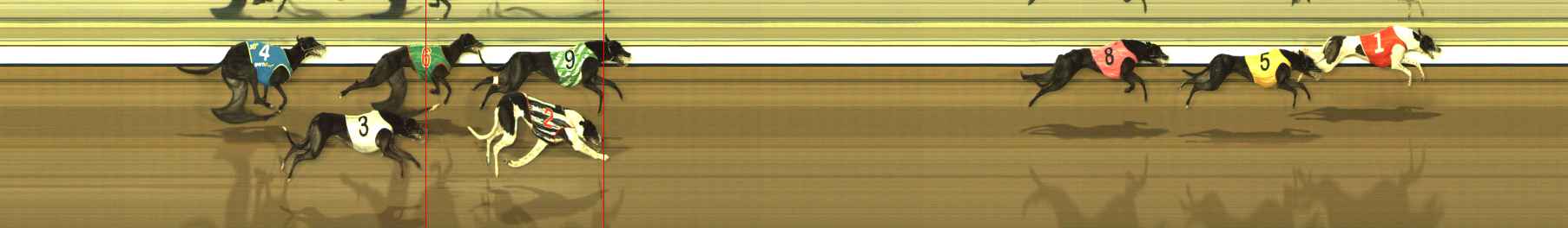 Photo finish for The Meadows Race 5