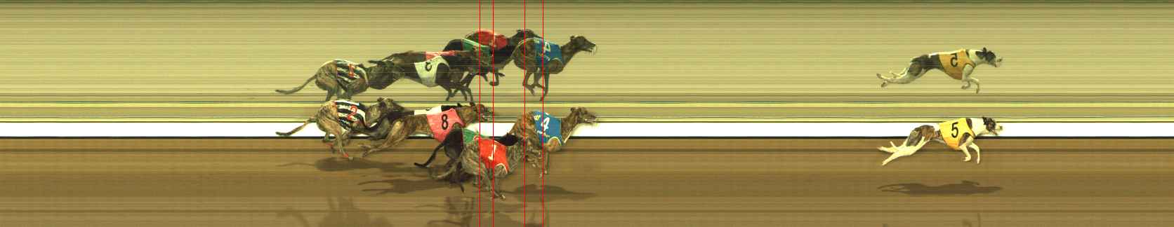 Photo finish for The Meadows Race 6