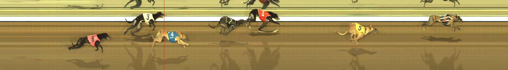 Photo finish for The Meadows Race 8