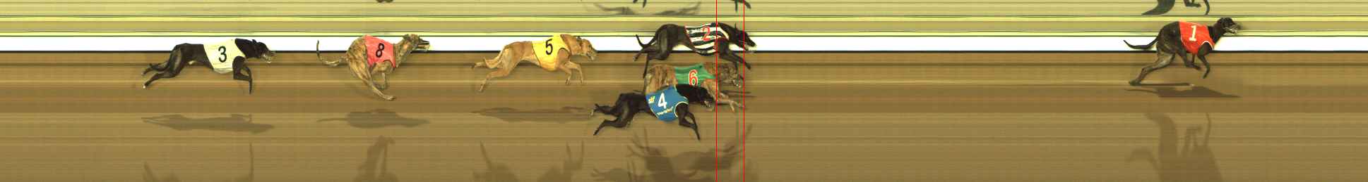 Photo finish for The Meadows Race 9