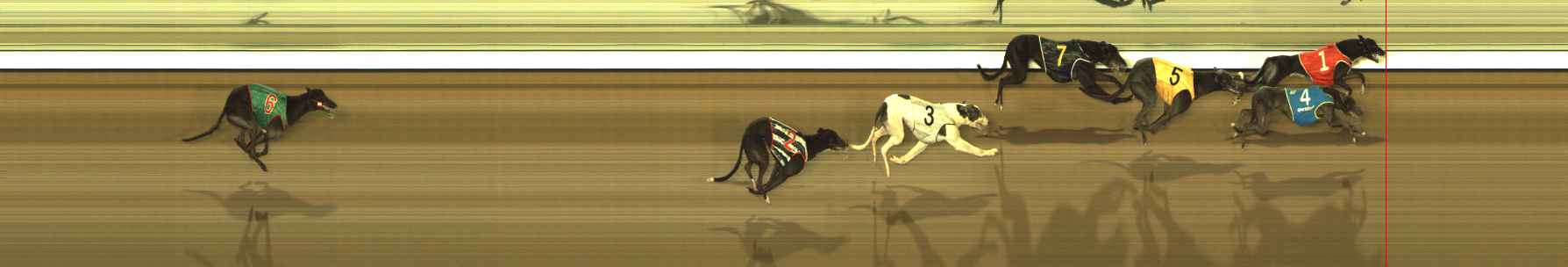 Photo finish for The Meadows Race 12