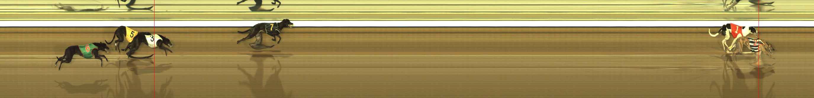 Photo finish for The Meadows Race 8