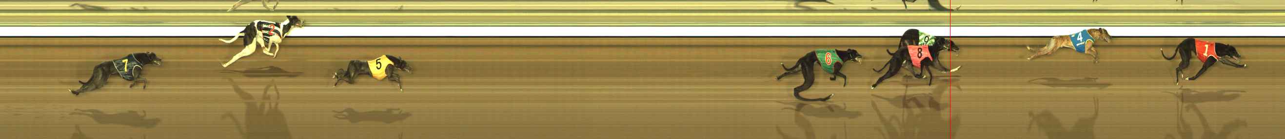 Photo finish for The Meadows Race 11