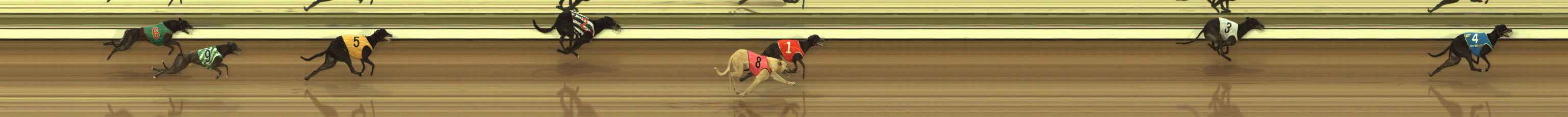 Photo finish for The Meadows Race 1
