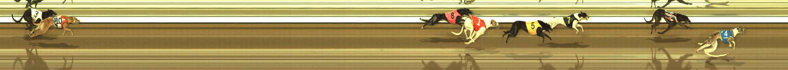 Photo finish for The Meadows Race 5