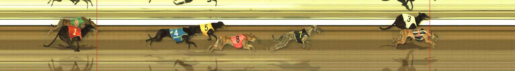Photo finish for The Meadows Race 6