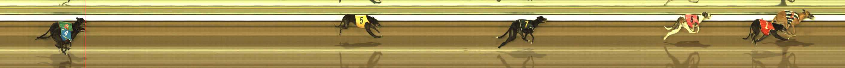 Photo finish for The Meadows Race 8