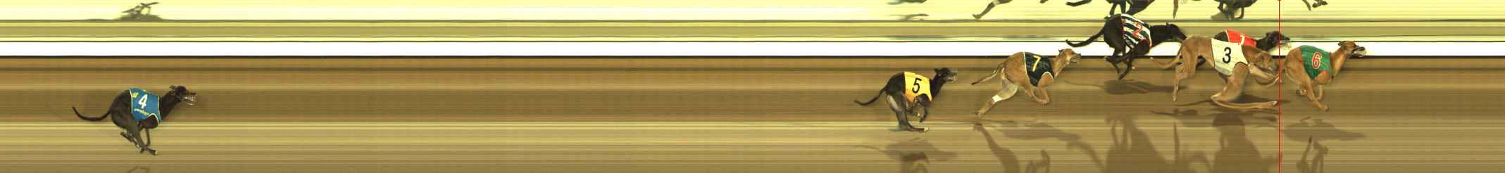 Photo finish for The Meadows Race 9