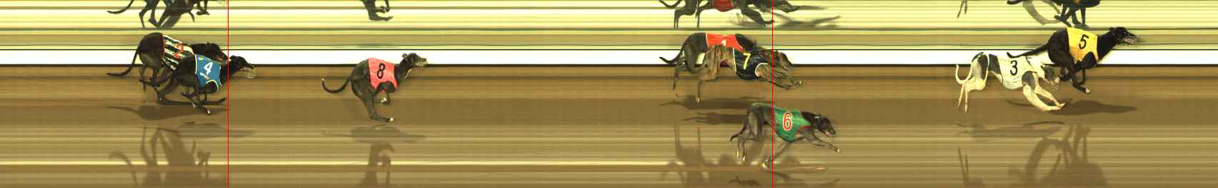 Photo finish for The Meadows Race 10