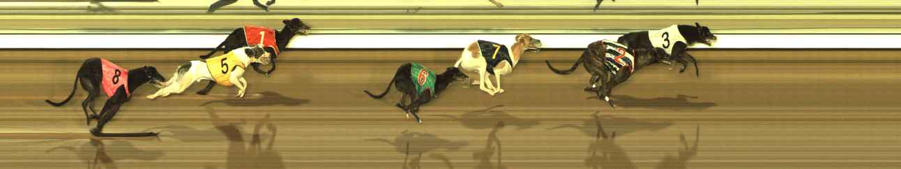 Photo finish for The Meadows Race 11