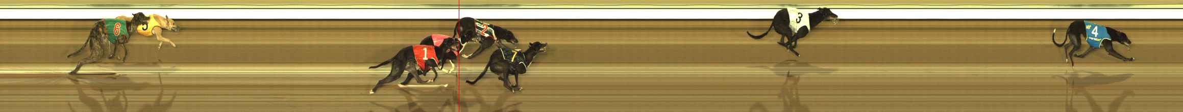 Photo finish for The Meadows Race 12