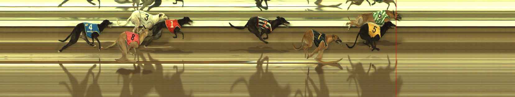 Photo finish for The Meadows Race 2