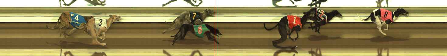 Photo finish for The Meadows Race 3