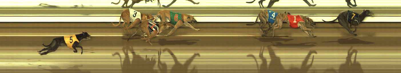 Photo finish for The Meadows Race 4