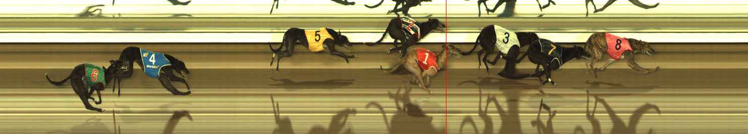 Photo finish for The Meadows Race 7