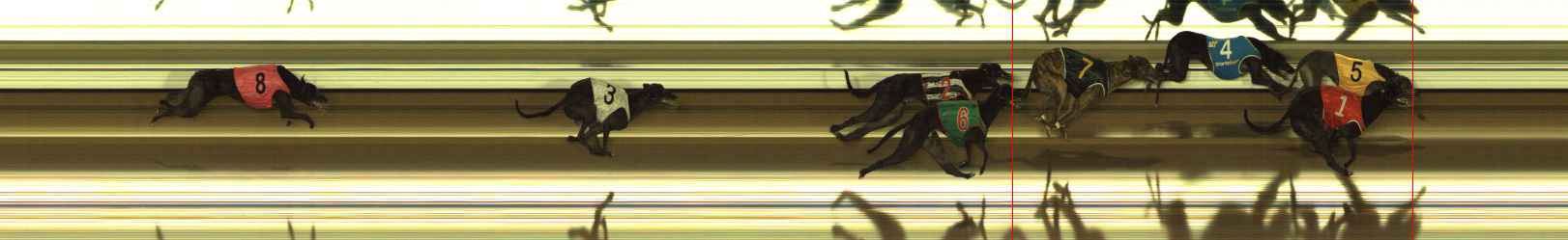 Photo finish for The Meadows Race 8
