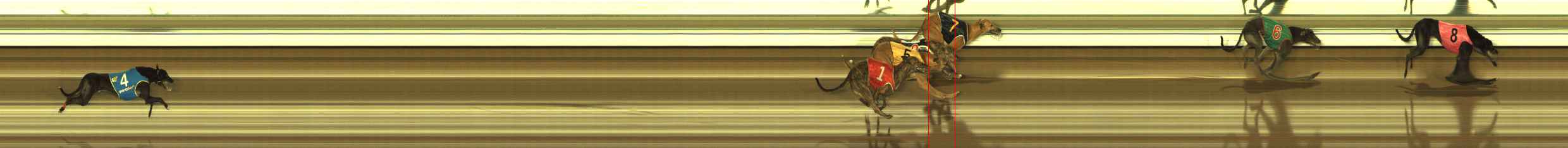 Photo finish for The Meadows Race 9