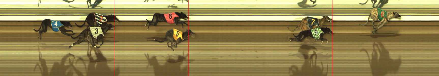 Photo finish for The Meadows Race 11