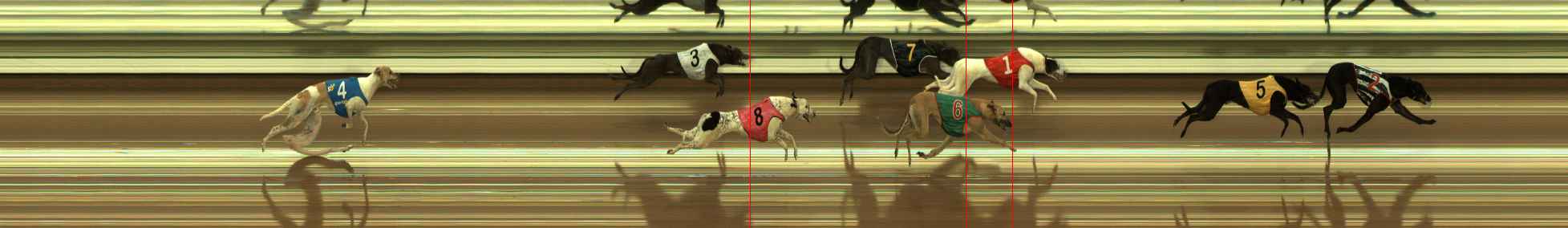 Photo finish for The Meadows Race 1