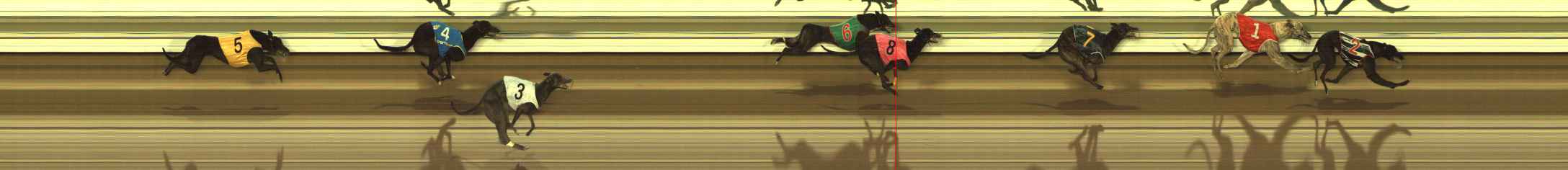 Photo finish for The Meadows Race 4