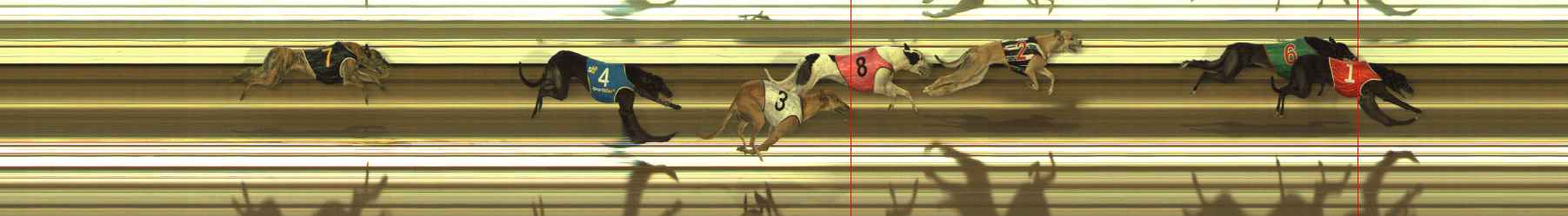 Photo finish for The Meadows Race 5
