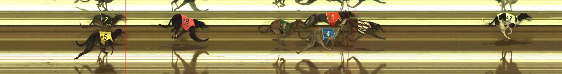 Photo finish for The Meadows Race 6