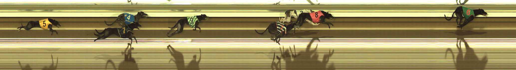 Photo finish for The Meadows Race 9