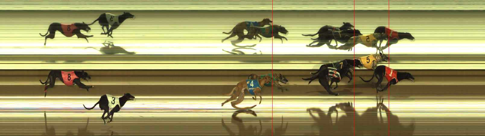 Photo finish for The Meadows Race 11