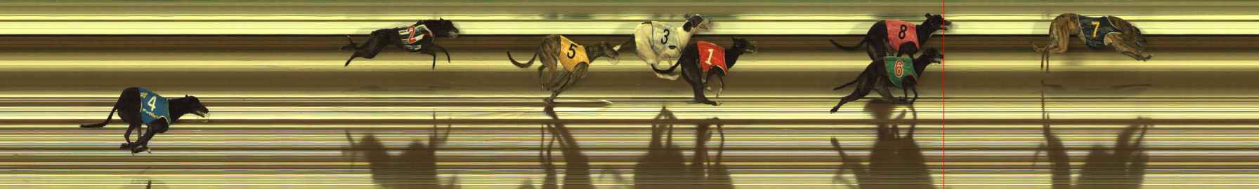 Photo finish for The Meadows Race 12
