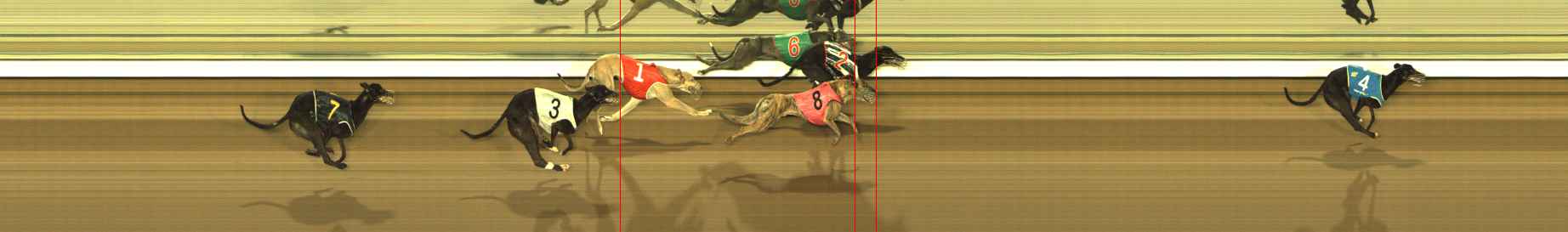 Photo finish for The Meadows Race 8