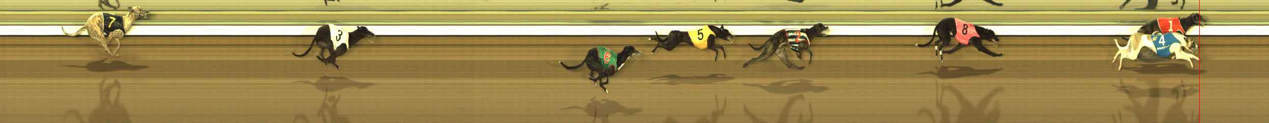 Photo finish for The Meadows Race 9