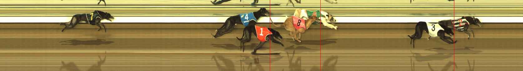 Photo finish for The Meadows Race 5