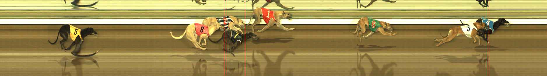 Photo finish for The Meadows Race 6