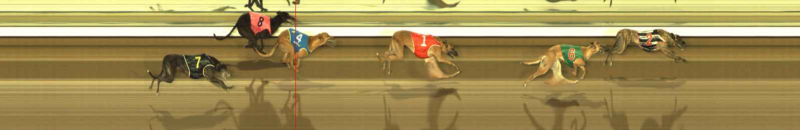 Photo finish for The Meadows Race 7