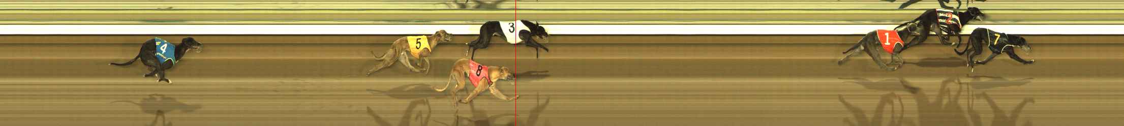 Photo finish for The Meadows Race 8