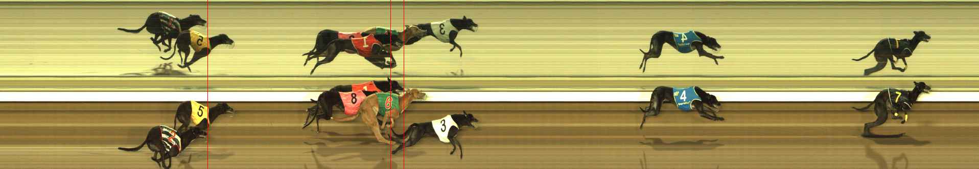 Photo finish for The Meadows Race 10