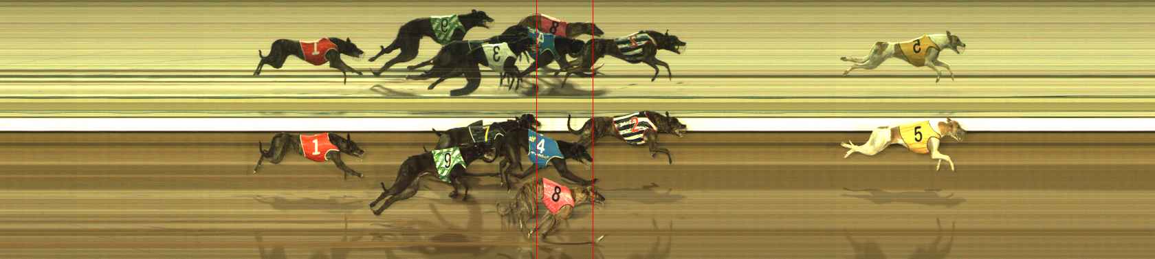 Photo finish for The Meadows Race 11
