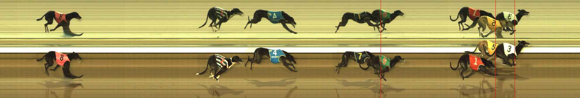 Photo finish for The Meadows Race 12