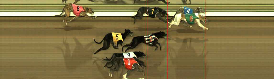 Photo finish for The Meadows Race 5